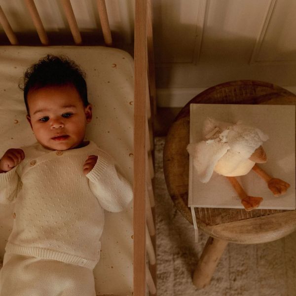 Little Dutch Newborn Knuffelgans Licht & Geluid