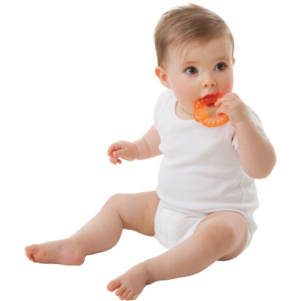 Playgro Bumpy Gums Water Teethers 3 Stuks Playgro Bumpy Gums Water Teethers 3 Stuks