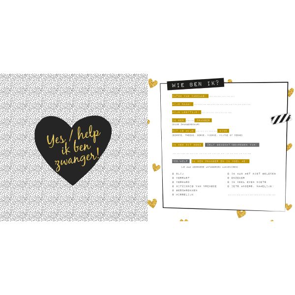 Lantaarn Publishers Negen Maandenboek