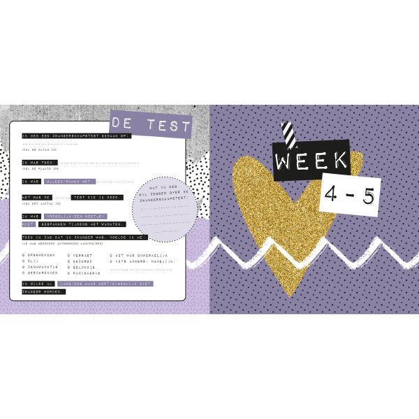 Lantaarn Publishers Negen Maandenboek