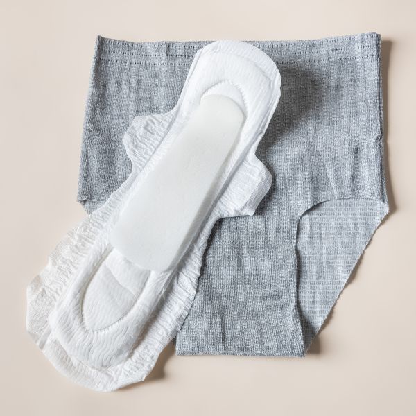 Lansinoh Postpartum Netbroekje - 4 Stuks