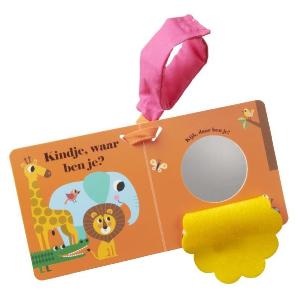 Gottmer Buggyboekje Leeuw, Waar Ben Je?