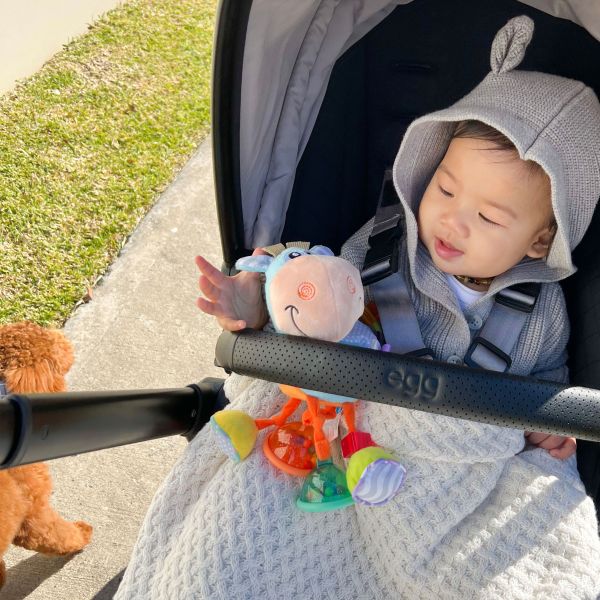 Playgro Clip Clop Activity Rattle