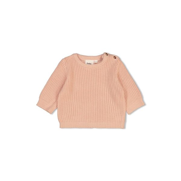 Feetje Sweater Gebreid The Magic is in You Roze 62