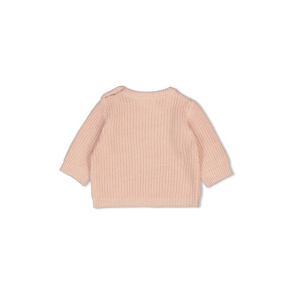 Feetje Sweater Gebreid The Magic is in You Roze 62