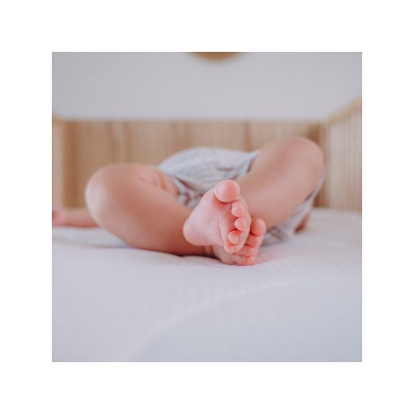 ZZZOO Matras Wieg Beer 40 x 80 x 7 ZZZOO Matras Wieg Beer 40 x 80 x 7