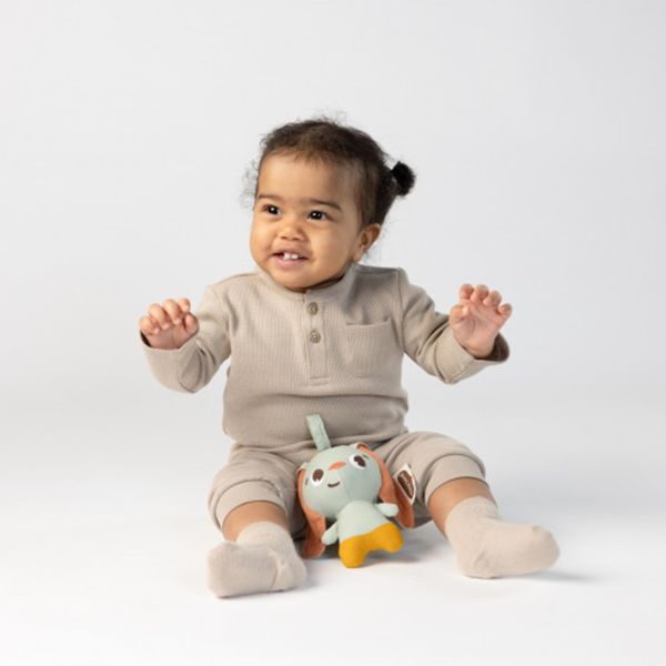 Tiny Love Tiny Smart Bunny Garden Of Adventures Tiny Love Tiny Smart Bunny Garden Of Adventures