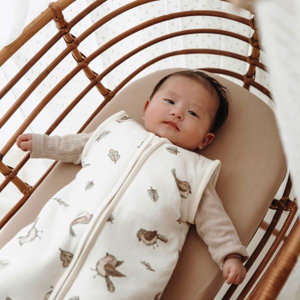 Meyco Baby Slaapzak Met Afritsbare Mouwen Robin Multicolour 70 cm