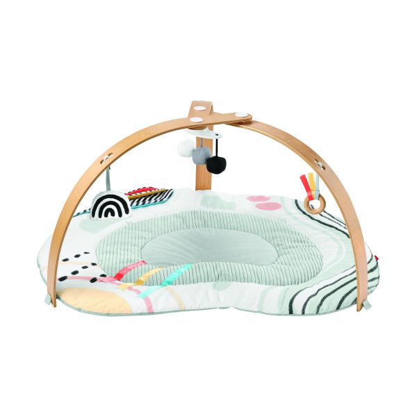 Skip Hop Discoverosity Babygym 