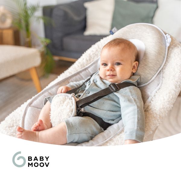 Babymoov Ergonomisch Hoofdkussen - Smokey Babymoov Ergonomisch Hoofdkussen - Smokey