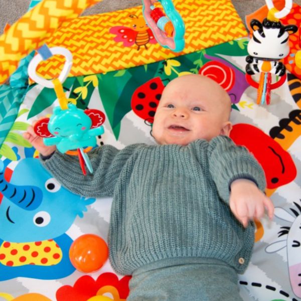 Bo Jungle Foldable Ball Pit Play Gym Jungle Carnival
Bo Jungle Foldable Ball Pit Play Gym Jungle Carnival