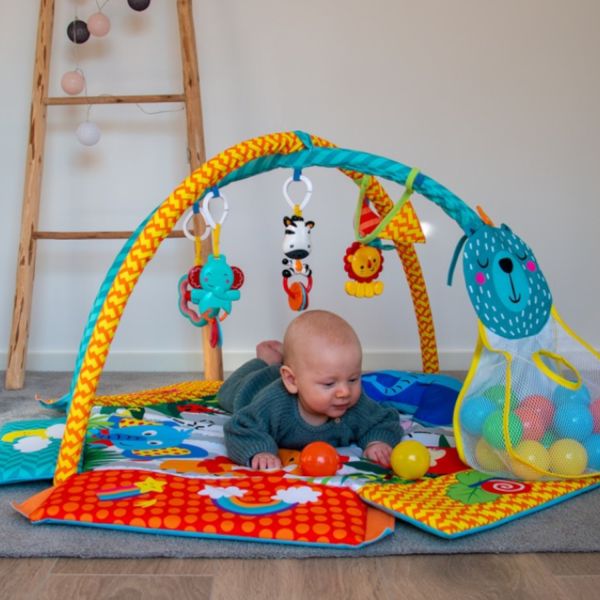 Bo Jungle Foldable Ball Pit Play Gym Jungle Carnival
Bo Jungle Foldable Ball Pit Play Gym Jungle Carnival