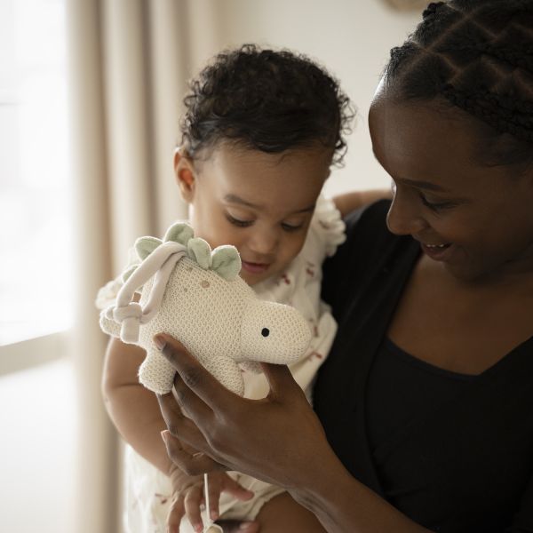 Baby's Only Muziekdoosje - Animals - Dino Laurel Green/Warm Linen