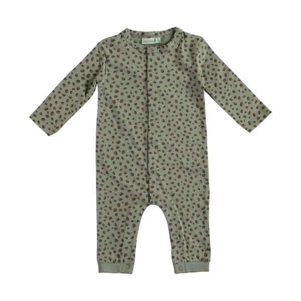 Babylook Dots Boxpak - Mt. 50 - Shadow