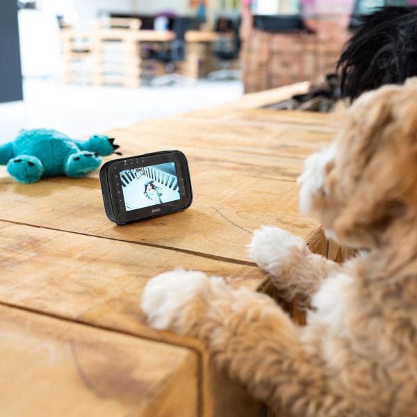 Alecto Babyfoon Beeld Digitaal - DVM200MBK - 4,3 Inch - Zwart