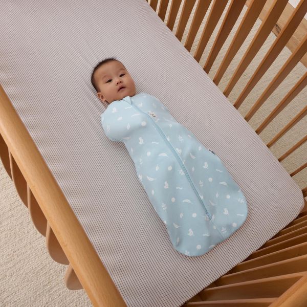 ErgoPouch Cocoon Inbaker Slaapzak - 3-6 Mnd - 2.5 TOG - Ducks