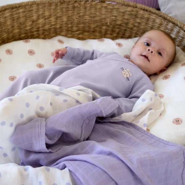Lässig Tiny Team Swaddle - 3 Stuks - 80 x 80 cm - Heavenly Soft - Pastel Lilac Lässig Tiny Team Swaddle - 3 Stuks - 80 x 80 cm - Heavenly Soft - Pastel Lilac