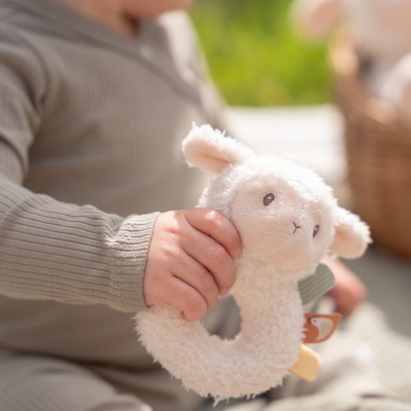 Little Dutch Rammelaar Schaap Little Farm