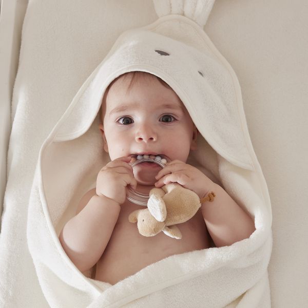 Noukie's B&M Rammelaar – Bali Noukie's B&M Rammelaar – Bali