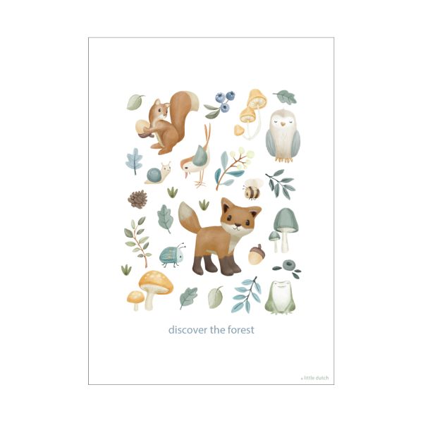 Little Dutch Poster - Forest Wonders - A3 Little Dutch Poster - Forest Wonders - A3