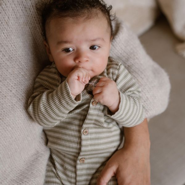 Dirkje Boxpak Light Faded Green 44