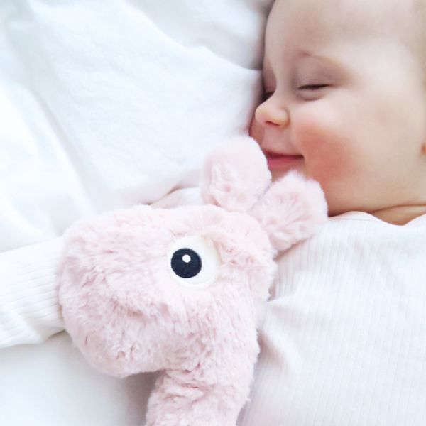 Done By Deer Cuddle Friend Raffi Powder