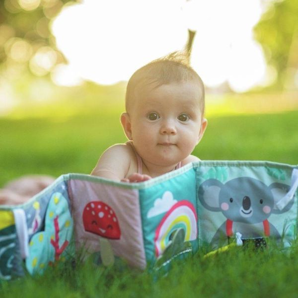 Taf Toys Buggyboekje Koala Taf Toys Buggyboekje Koala