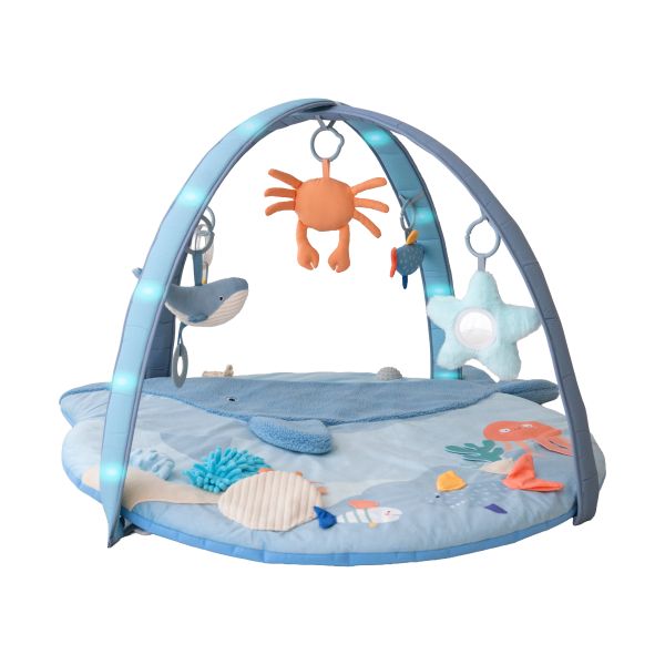 Bo Jungle Bay' Musical & Light Play Gym - Little Whale