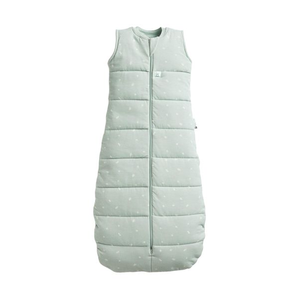 Ergopouch Slaapzak Zonder Mouwen - 3-12 Mnd - TOG 2.5 - Sage Ergopouch Slaapzak Zonder Mouwen - 3-12 Mnd - TOG 2.5 - Sage