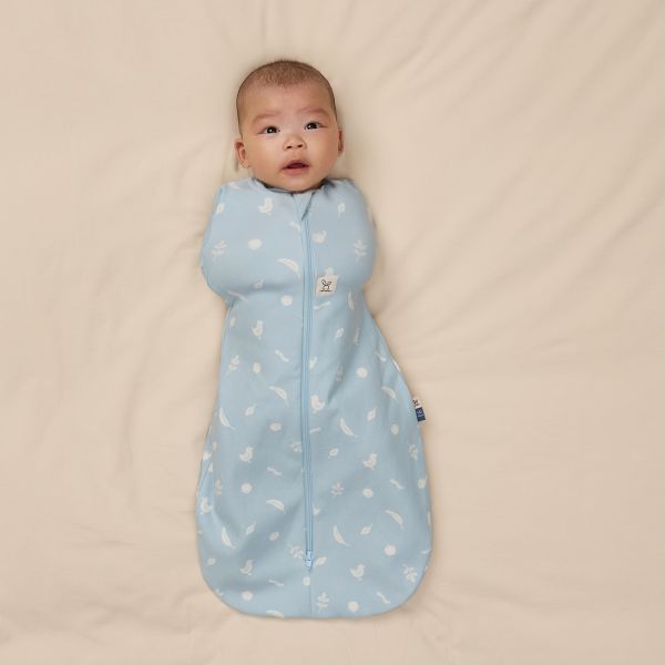 ErgoPouch Cocoon Inbaker Slaapzak - 0-3 Mnd - 1.0 TOG - Ducks ErgoPouch Cocoon Inbaker Slaapzak - 0-3 Mnd - 1.0 TOG - Ducks