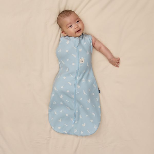 ErgoPouch Cocoon Inbaker Slaapzak - 0-3 Mnd - 1.0 TOG - Ducks ErgoPouch Cocoon Inbaker Slaapzak - 0-3 Mnd - 1.0 TOG - Ducks