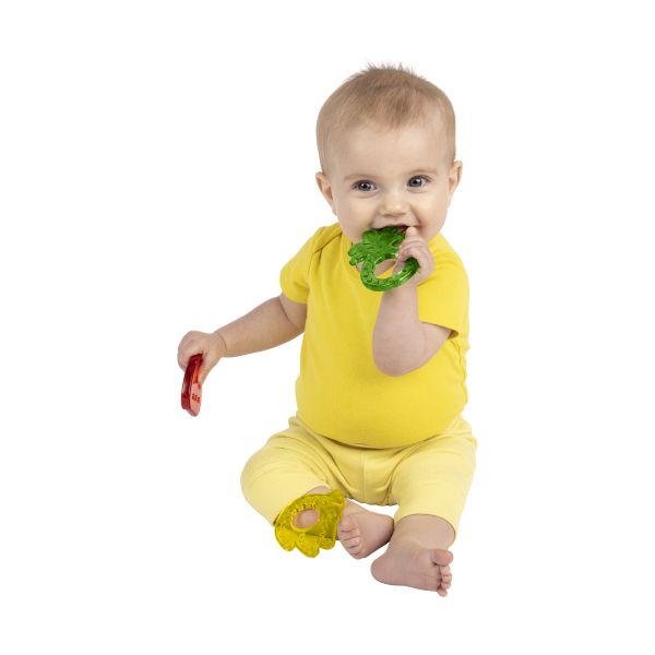 Bright Starts Bijtring - Multi-Pack Teether - Fruit Bright Starts Bijtring - Multi-Pack Teether - Fruit