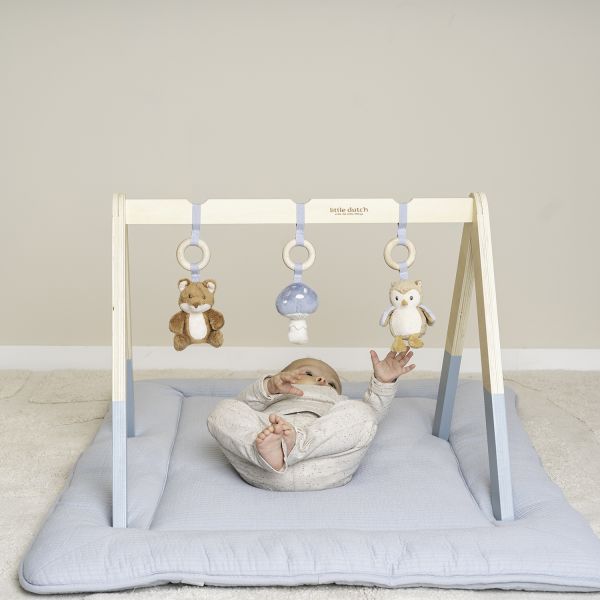 Little Dutch Babygym Forest Friends FSC Little Dutch Babygym Forest Friends FSC