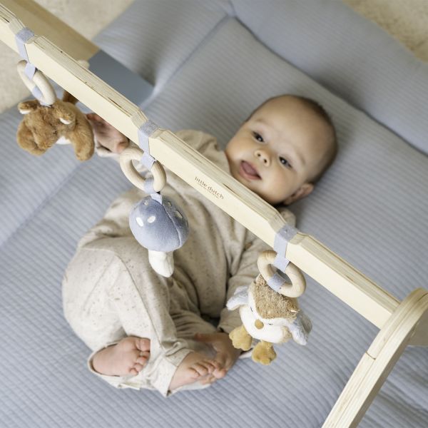 Little Dutch Babygym Forest Friends FSC Little Dutch Babygym Forest Friends FSC