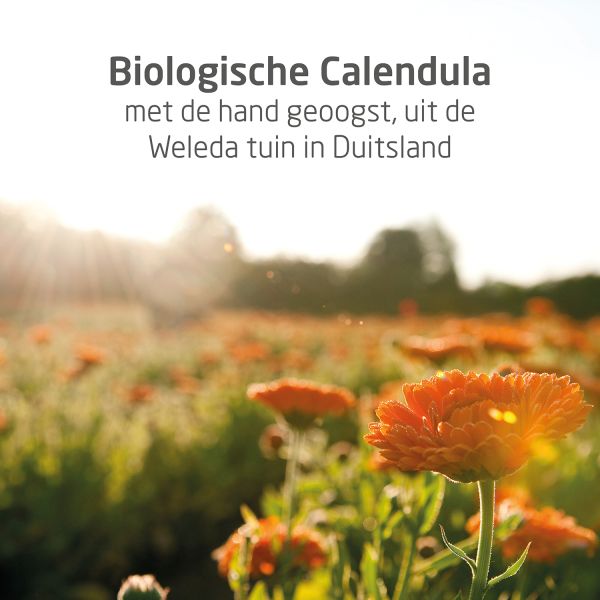 Weleda Calendula Bodycreme 75ml Weleda Calendula Bodycreme 75ml
