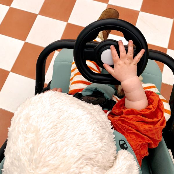 Easywalker Steering Wheel Easywalker Steering Wheel