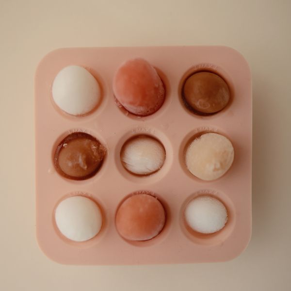 Mushie Fresh Food Diepvries Tray - Blush