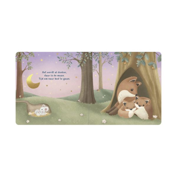 Little Dutch Boekje - Welterusten Kleintje Little Dutch Boekje - Welterusten Kleintje