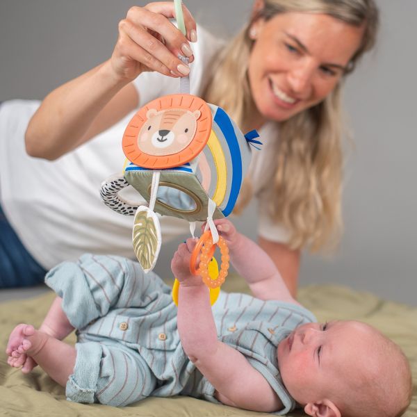 Taf Toys Activiteitenkubus Savannah Taf Toys Activiteitenkubus Savannah