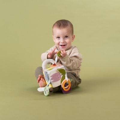 Taf Toys Activiteitenkubus Urban Garden Taf Toys Activiteitenkubus Urban Garden