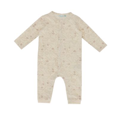 Babylook Shells Boxpak