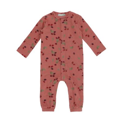 Babylook Berry Boxpak - Dusty Rose