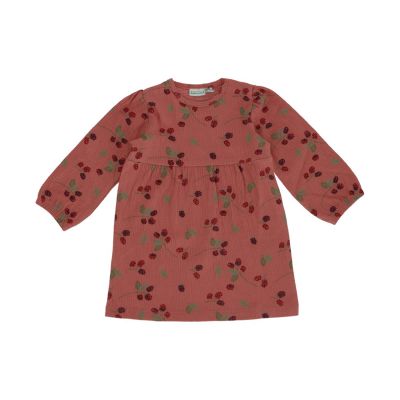 Babylook Berry Jurk Lange Mouw - Dusty Rose