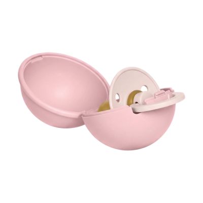 Bibs Fopspeen & Fopspeendoosje Mini Bundel