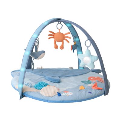 Bo Jungle Bay' Musical & Light Play Gym - Little Whale