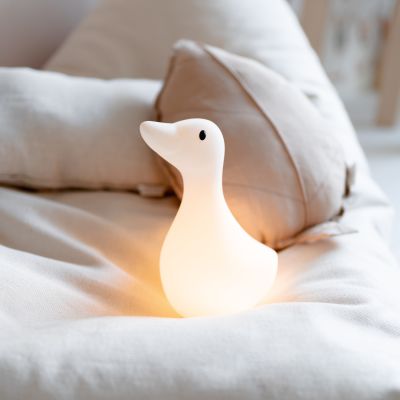 Flow Amsterdam Liva Light Flow Amsterdam Liva Light