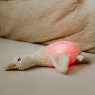 Flow Amsterdam Night Light Plush Liva