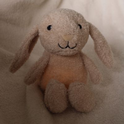Flow Amsterdam Night Light Plush Milo