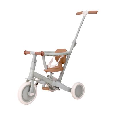 Little Dutch 4-in-1 driewieler