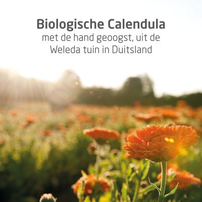 Weleda Calendula Gezichtscreme 50ml